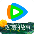 玥越 玩物直播回放